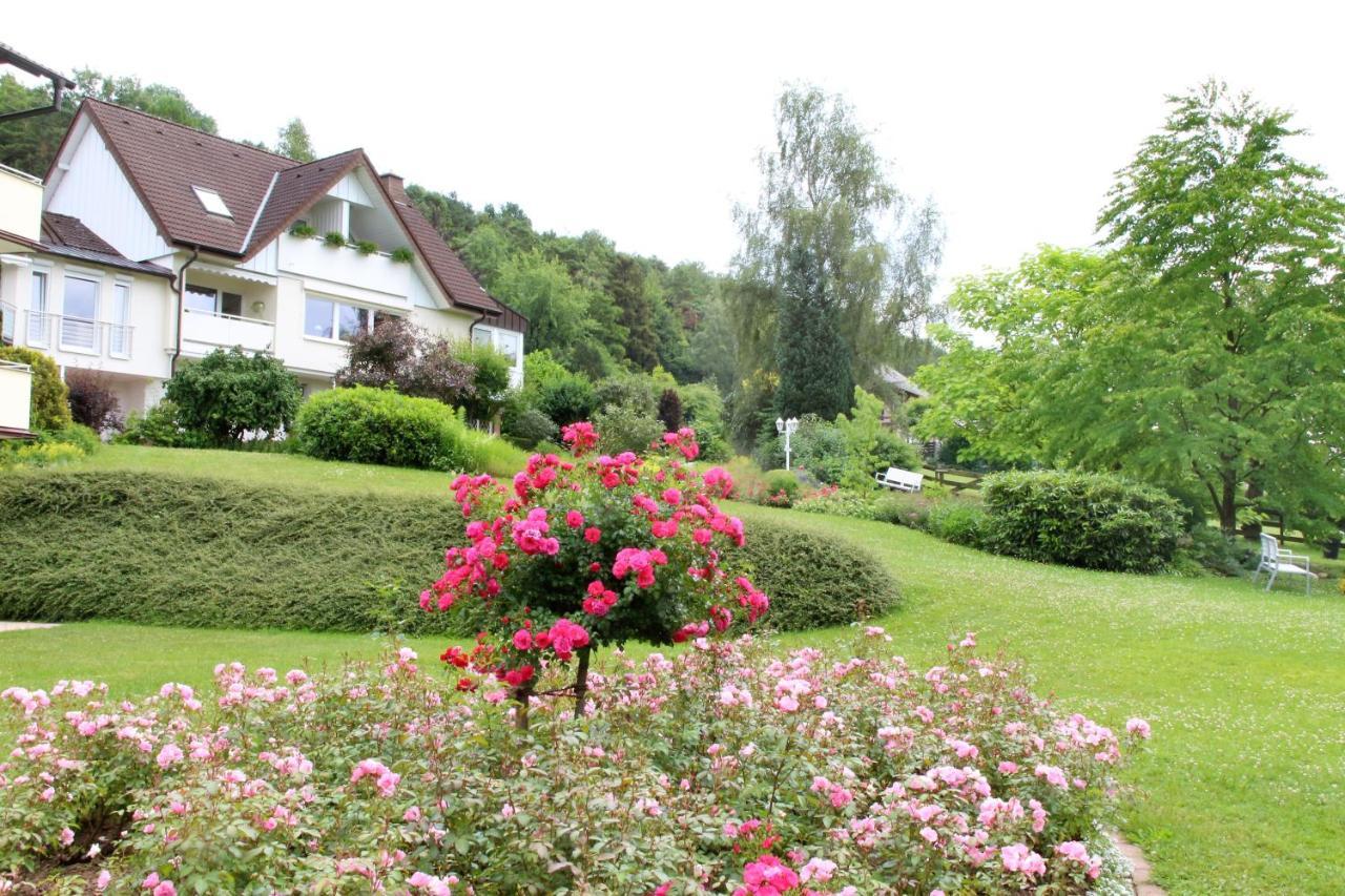 Apartmán Haus Am Steinberg Bad Driburg Exteriér fotografie