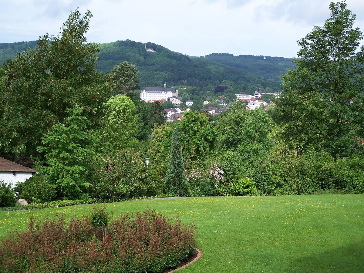 Apartmán Haus Am Steinberg Bad Driburg Exteriér fotografie