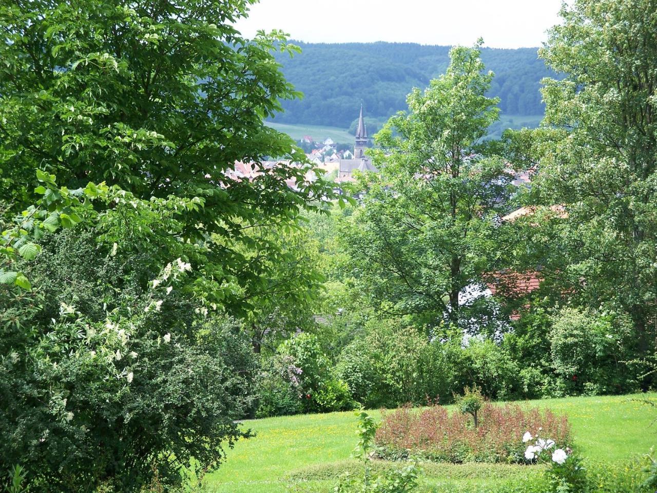 Apartmán Haus Am Steinberg Bad Driburg Exteriér fotografie